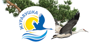 Журавушка