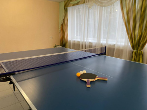 Настольный теннис