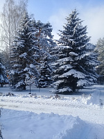 Зимние красоты в санатории "Журавушка"