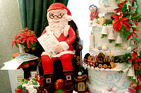 Поздравляем с Рождеством и Новым годом!