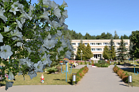 Осенний ценопад в санатории "Журавушка"